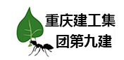 重庆建工集团第九建设工程高质量外围联系方式